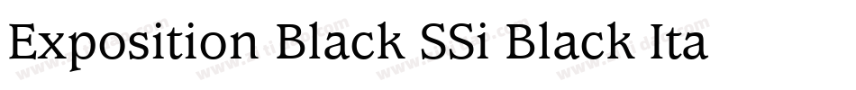 Exposition Black SSi Black Italic字体转换